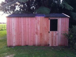 Fixed window in side door.